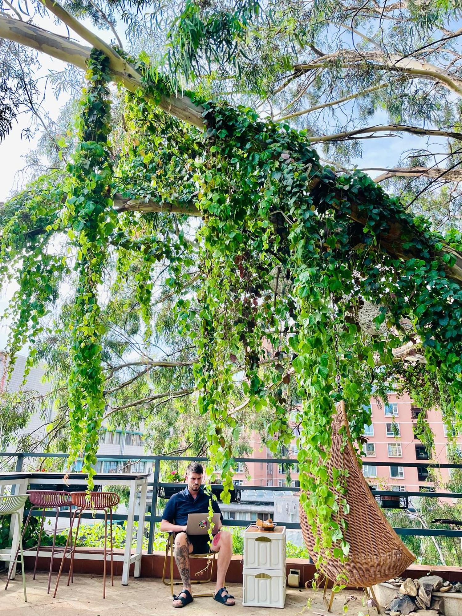 Kunming Upland International Youth Hostel Near The City Center ,2 Mins Walk To The Subway, 2 Mins Walk To The Green Lake, Close To Yuan Tong Temple, Old Street, Yunnan University, Convenient Payment And Visa Cards Are Accepted Екстер'єр фото